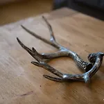 Auszeit Im Harz Haus 4