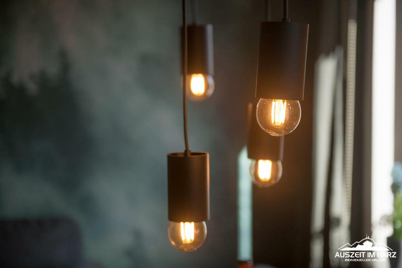 Lejlighed Auszeit Im Harz Haus 4 Braunlage